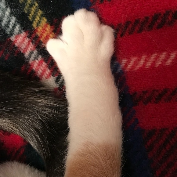 Meet your Posher, K - Picture 1 of 1